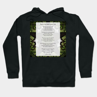 Poem of the Bald Cypress Tree by Pamela Storch Hoodie